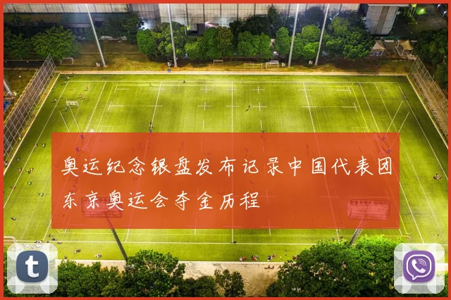 奥运纪念银盘发布记录中国代表团东京奥运会夺金历程